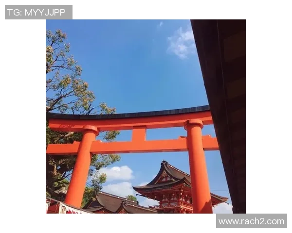 京都与千叶原市的文化碰撞与城市魅力探秘之旅