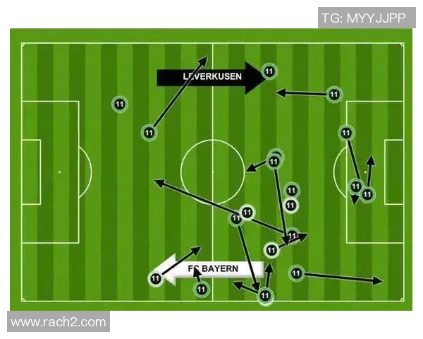 武汉羽毛球队的节奏与战术分析探讨羽毛球运动的未来发展方向