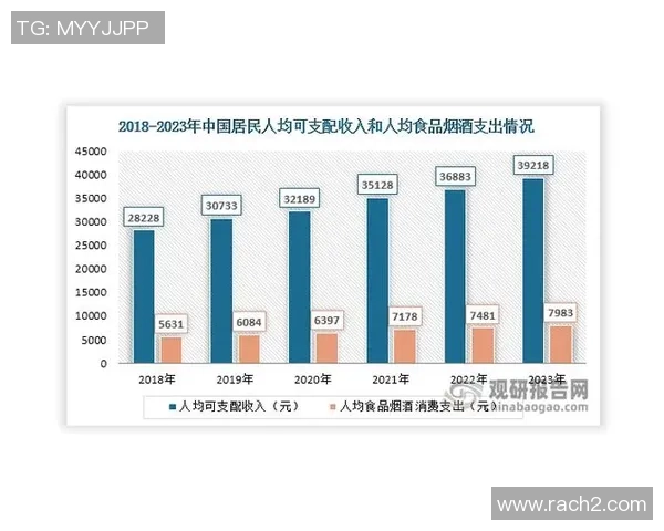 V5个人能力表现的深入数据分析与解读探讨